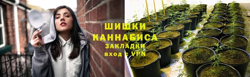 hydra ССЫЛКА  дарнет шоп  Южа  Каннабис Bruce Banner 